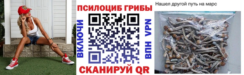 Купить Ивантеевка Галлюциногенные грибы мицелий
